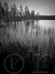 Orilla de lago, cerca de Glaten