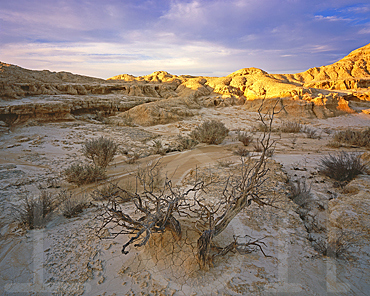 Badlands de la Bardena Blanca