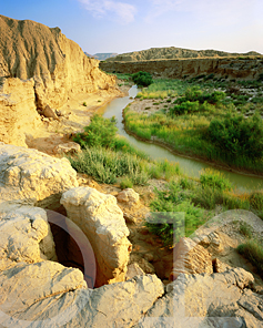  Fondo verdoso del barranco de los Hermanos al comienzo del verano 