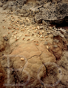 Corazn de arcilla salpicado de alabastro