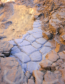 Capas de marga al fondo de un barranco