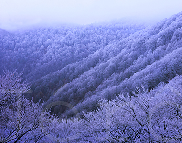 Jour de givre dans la valle d' Hayra