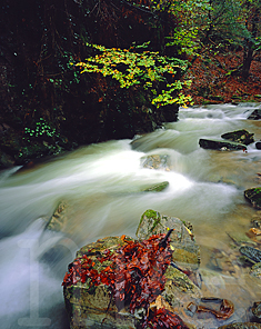 Autumn flood, Hayra valley