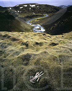 Icelandic graveyard