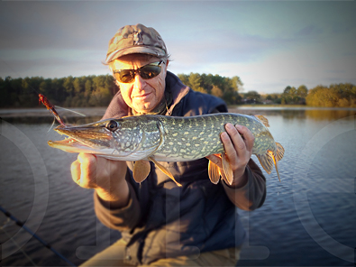 Pescando los estanques, Landes