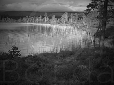 The shores of lake Rundtjonna