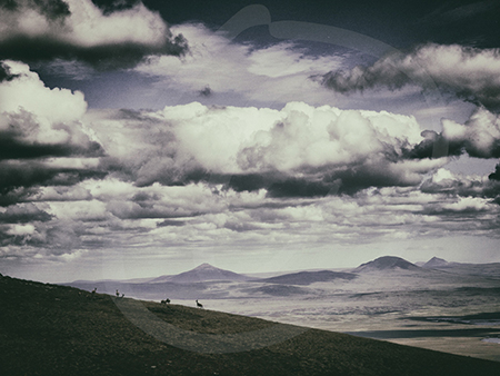 Rencontre sur le Ben Loyal