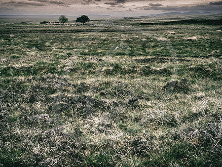 Paysage, Caithness