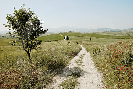 Pienza