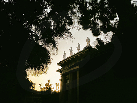 Atardecer, jardin botnico