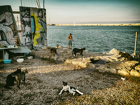 Gatos, pescador